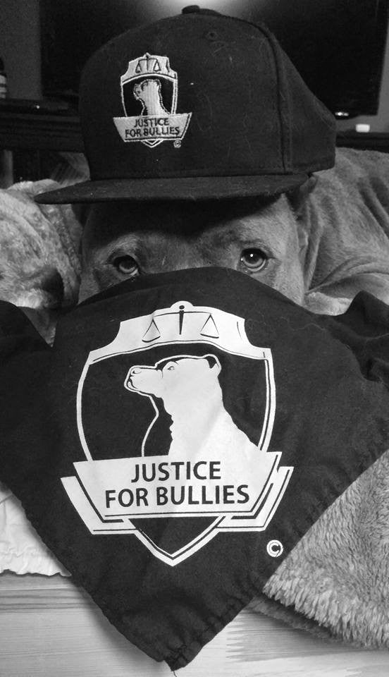 Justice for Bullies just celebrated our one year anniversary, to show our appreciation we are offering a 12% discount