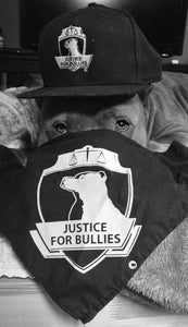 Justice for Bullies just celebrated our one year anniversary, to show our appreciation we are offering a 12% discount