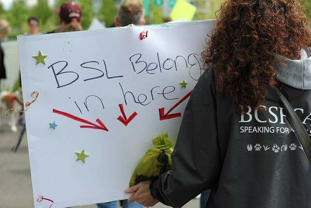 #BSLbytes #26: BC SPCA